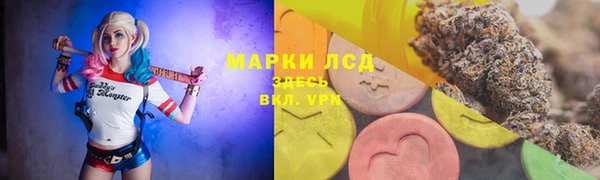 PSILOCYBIN Белокуриха