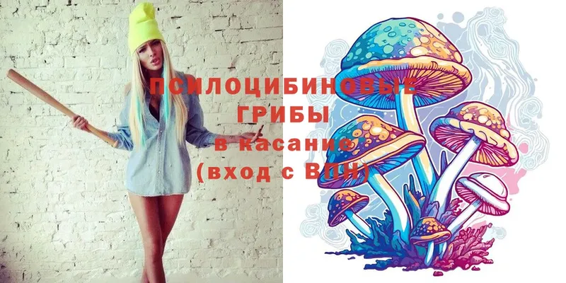 Псилоцибиновые грибы Psilocybe  Ейск 